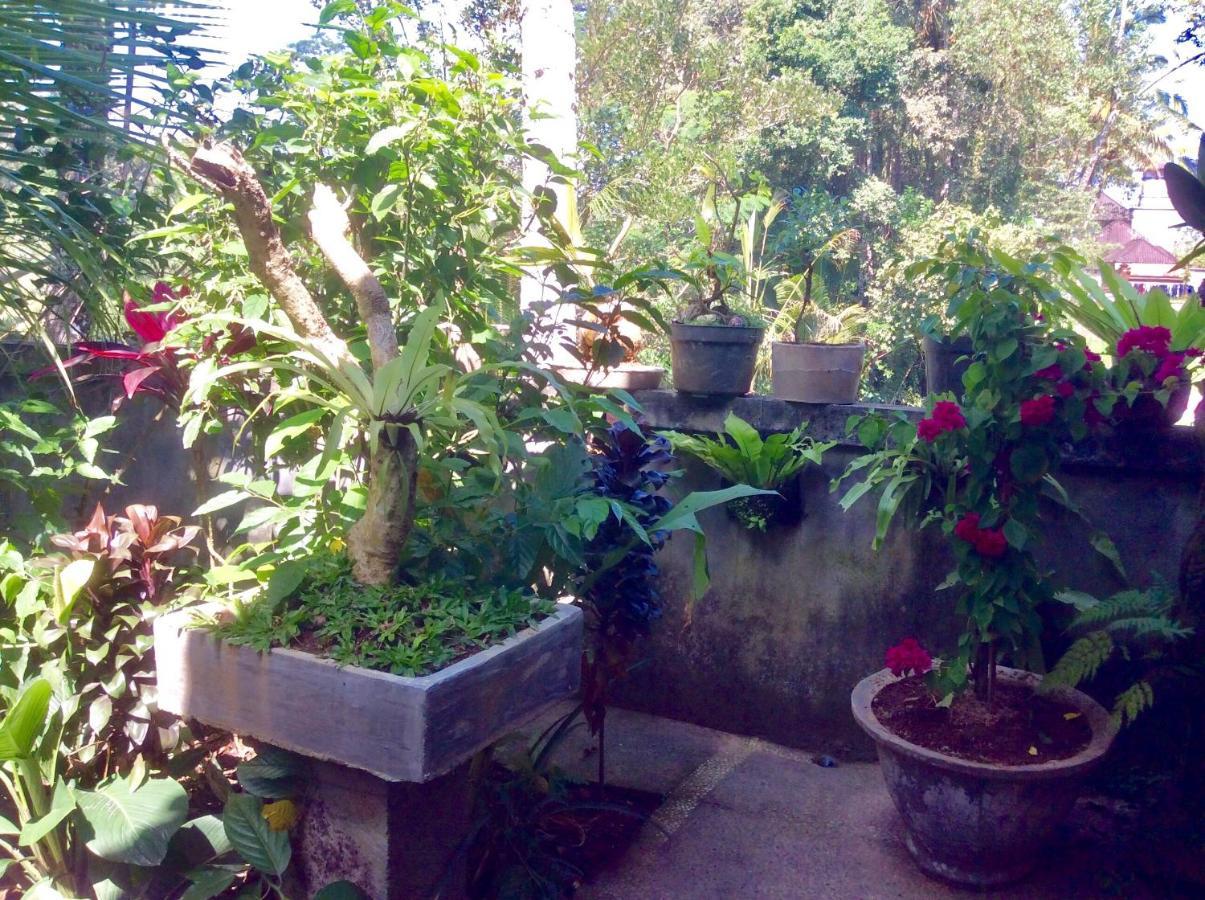 Rumah Irak Et Kadek Bali Ubud  Exterior photo
